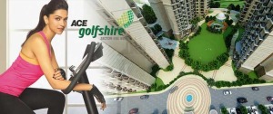 ace-golfshire-banner